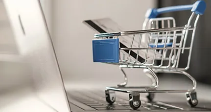 Izrada internet prodavnica usluge