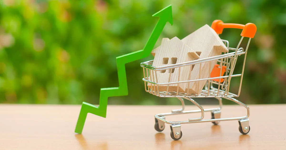 Cena izrade sajta i seo usluga